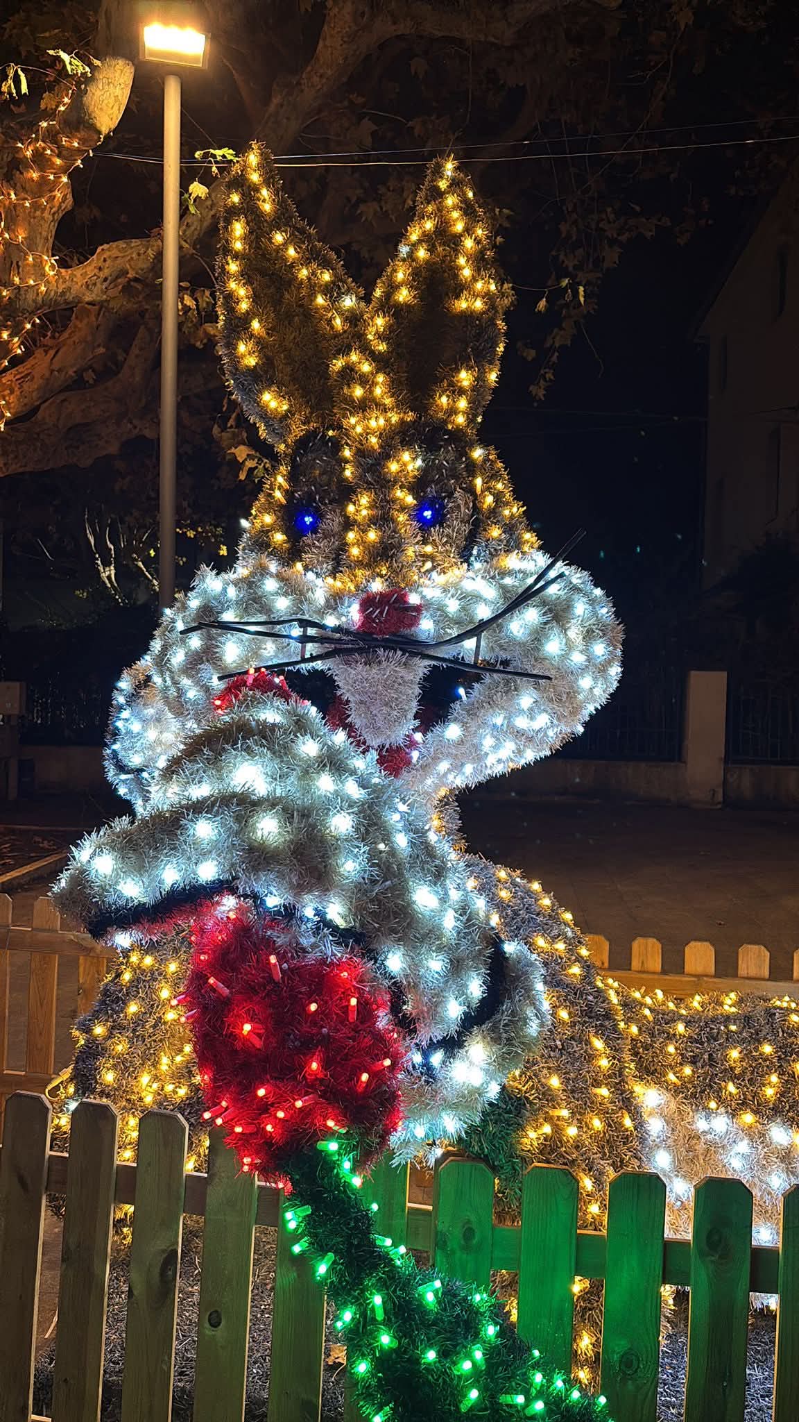 FB_IMG_1764189565239